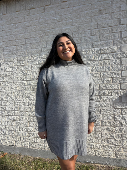 Turtle Neck Mini Dress