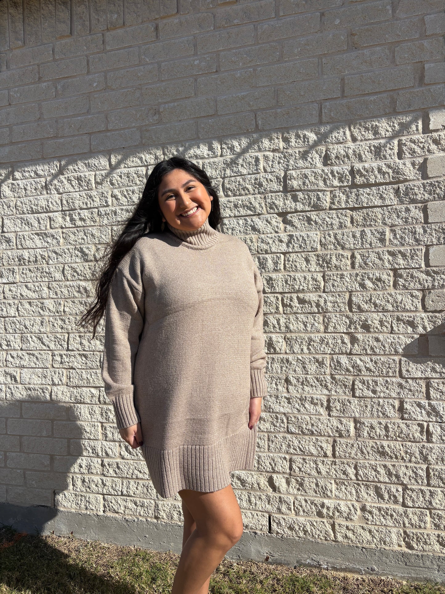 Turtle Neck Mini Dress
