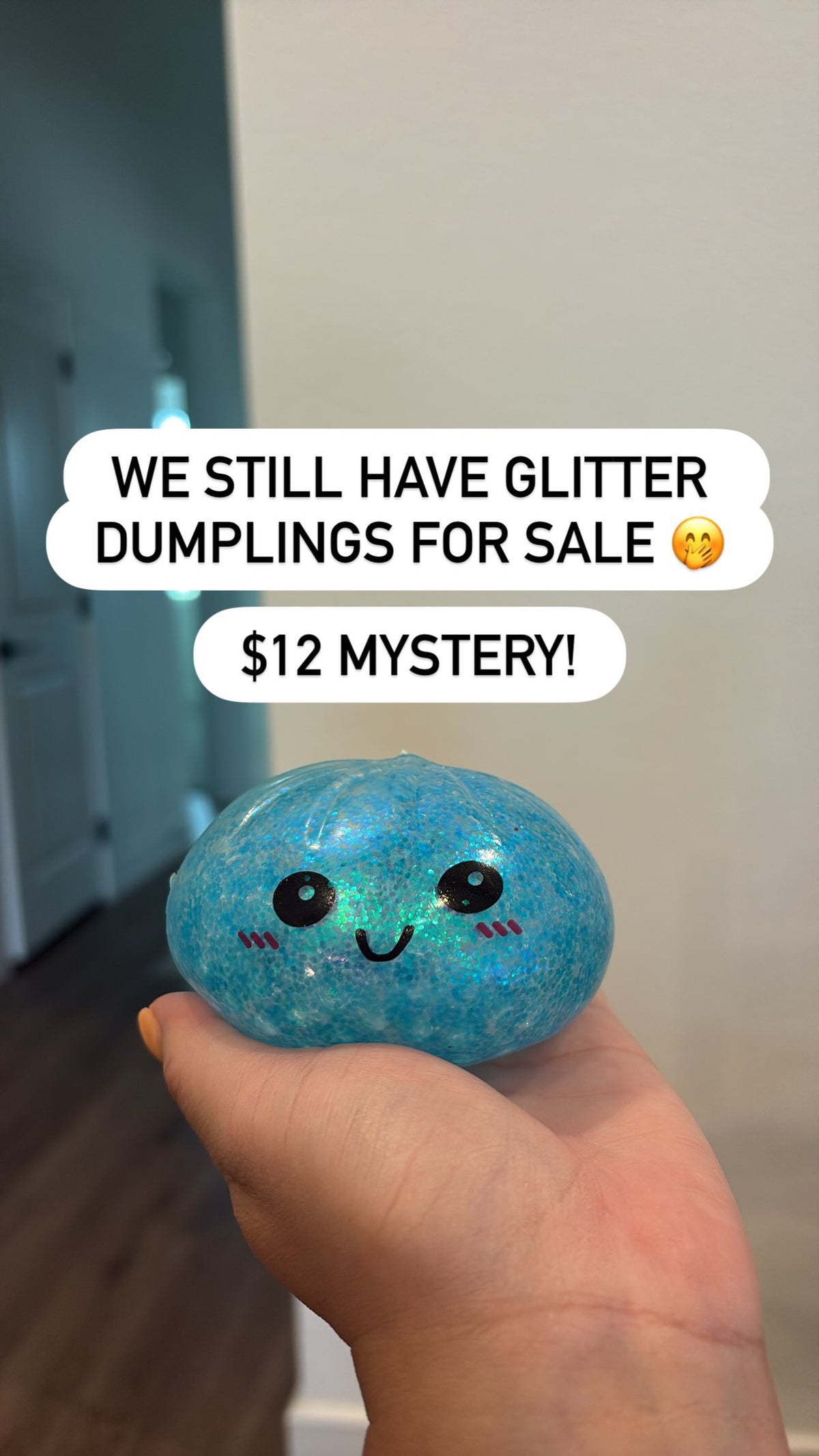 Glitter Dumplings *Random