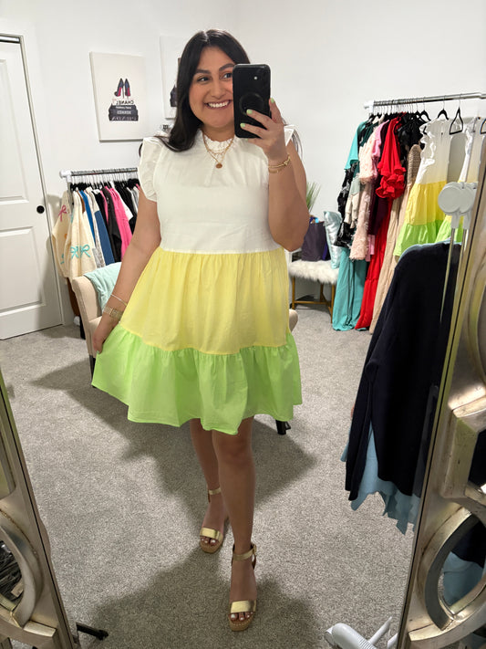 Zest & Zeal Poplin Dress