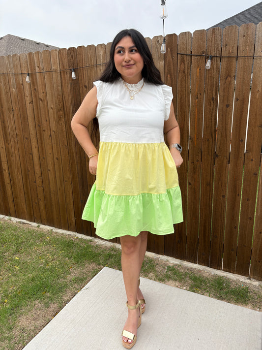 Zest & Zeal Poplin Dress